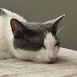 Meet your Posher, Arricka